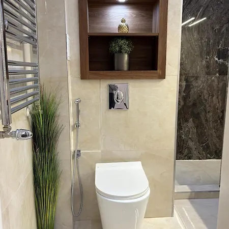 Apartment Shiny Gem In Basillica With Sauna *