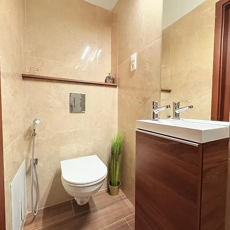 Shiny Gem In Basillica With Sauna Budapest