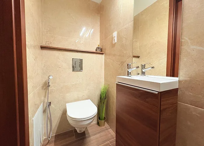 Shiny Gem In Basillica With Sauna Budapest